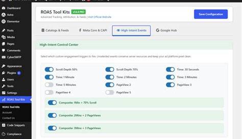 Can You Customize UTM Persistence in ROAS Tool Kit?