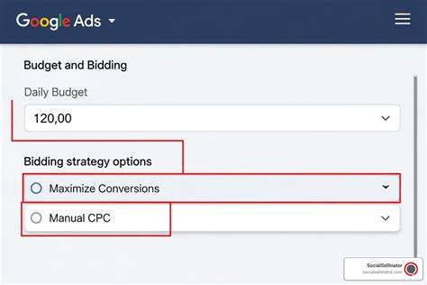 Close-up of a laptop screen displaying Google Ads bidding and budget options.