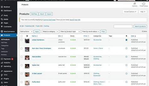Best WordPress Ecommerce Plugins to Build Your Online Store Without Headaches